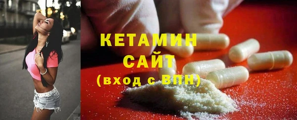 гидра Горняк
