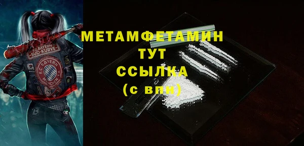 гидра Горняк