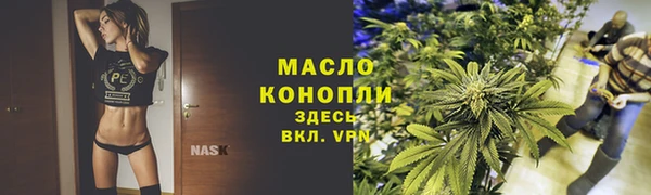 гидра Горняк
