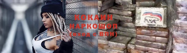 гидра Горняк