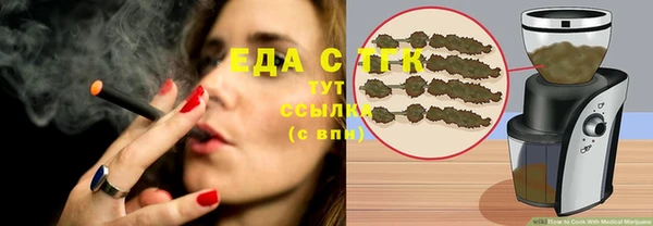 гидра Горняк