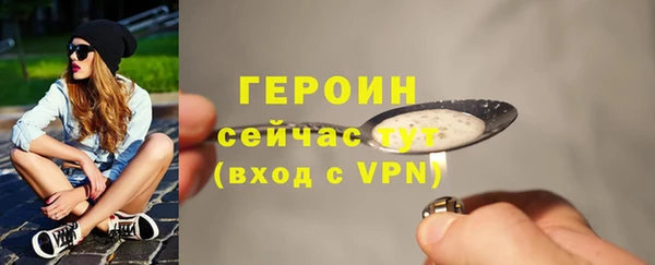 гидра Горняк