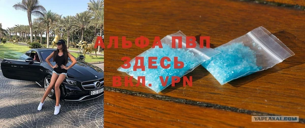 гидра Горняк