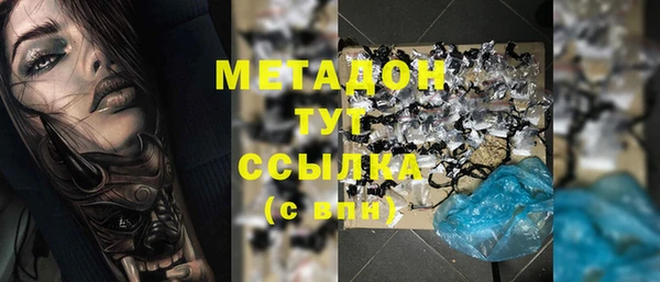 гидра Горняк