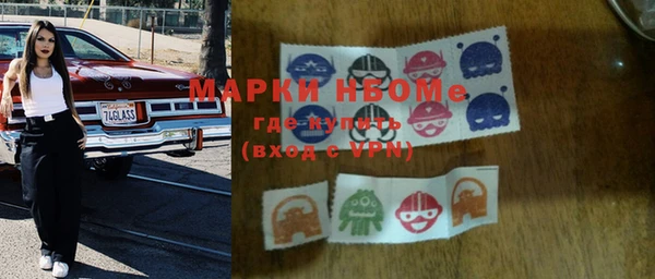 гидра Горняк