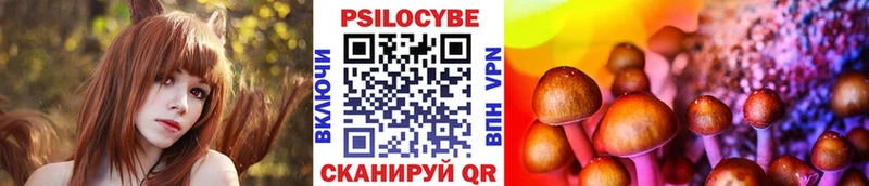 Купить закладки  Курильск  Галлюциногенные грибы MAGIC MUSHROOMS 